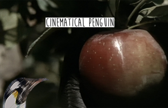 Assassin Cinematical Penguin Pic
